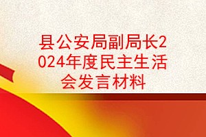 县公安局副局长2024年度民主生活会发言材料