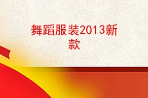 赸װ2013¿