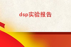 dspʵ鱨