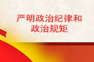 严明政治纪律和政治规矩