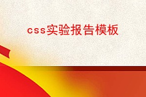 cssʵ鱨ģ