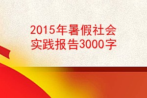 2015ʵ3000