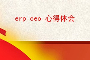 erp ceo ĵ