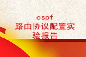 ospf ·Эʵ鱨