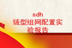 sdh ʵ鱨