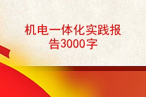 һ廯ʵ3000