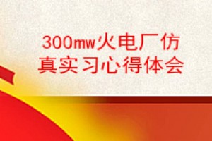 300mw糧ʵϰĵ