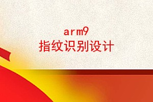 arm9 ָʶ