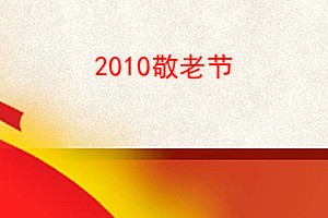 2010Ͻ