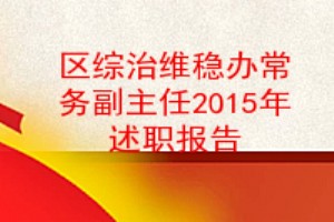 区综治维稳办常务副主任2015年述职报告